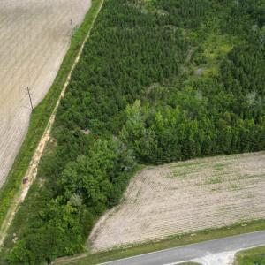 Photo #2 of TBD Church Rd., Green Sea, SC 74.0 acres
