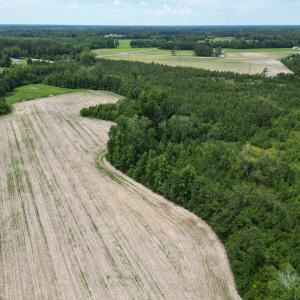 Photo #16 of TBD Church Rd., Green Sea, SC 74.0 acres