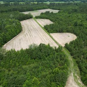Photo #12 of TBD Church Rd., Green Sea, SC 74.0 acres