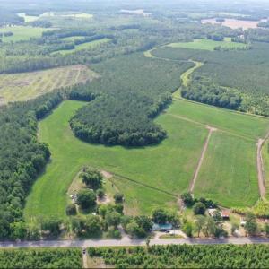 Photo #1 of 1002 Sam Lee Rd., Scranton, SC 76.2 acres