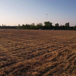 Photo #2 of Parcel F - Vox Hwy., Johnsonville, SC 1.0 acres