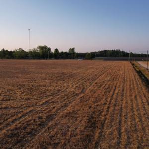 Photo #3 of Parcel F - Vox Hwy., Johnsonville, SC 1.0 acres