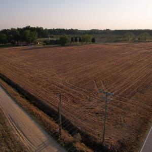 Photo #1 of Parcel F - Vox Hwy., Johnsonville, SC 1.0 acres