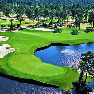 Photo #17 of 116 Hwy 17 S, Little River, SC 5.4 acres