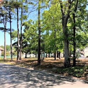 Photo #8 of 4449 Little River Inn Ln., Little River, SC 0.4 acres