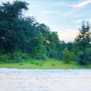 Photo #5 of Lot 1 Ivanhoe Pl., Dillon, SC 0.6 acres