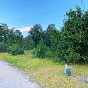 Photo #3 of Lot 1 Ivanhoe Pl., Dillon, SC 0.6 acres