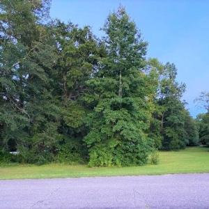 Photo #4 of Lot 1 Ivanhoe Pl., Dillon, SC 0.6 acres