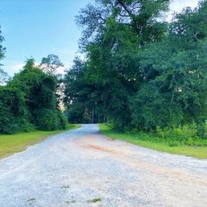 Photo #2 of Lot 1 Ivanhoe Pl., Dillon, SC 0.6 acres