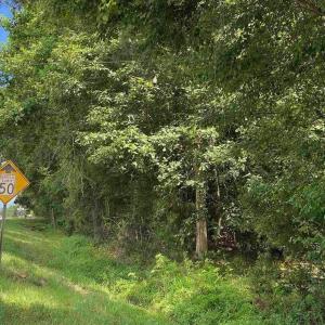 Photo #5 of TBD Highway 378, Conway, SC 27.3 acres