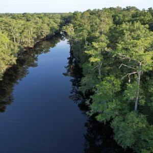Photo #5 of 0.80 Acres-TBD Cantley Landing Rd., Andrews, SC 0.8 acres