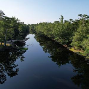 Photo #1 of 0.80 Acres-TBD Cantley Landing Rd., Andrews, SC 0.8 acres