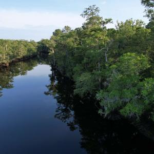 Photo #6 of 0.80 Acres-TBD Cantley Landing Rd., Andrews, SC 0.8 acres