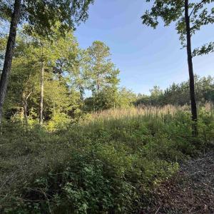 Photo #8 of 0.80 Acres-TBD Cantley Landing Rd., Andrews, SC 0.8 acres