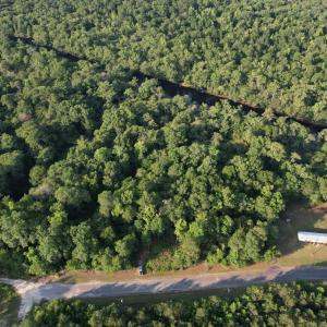 Photo #3 of 0.80 Acres-TBD Cantley Landing Rd., Andrews, SC 0.8 acres