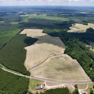 Photo #2 of 83.03 Acres - Birch Creek Rd., Andrews, SC 83.0 acres