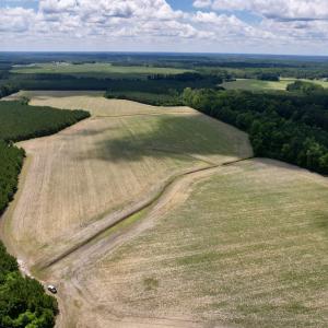 Photo #4 of 83.03 Acres - Birch Creek Rd., Andrews, SC 83.0 acres