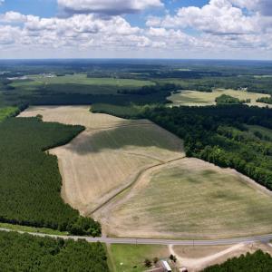 Photo #3 of 83.03 Acres - Birch Creek Rd., Andrews, SC 83.0 acres
