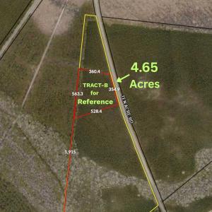 Photo #2 of Tract B Ten Acre Rd., Andrews, SC 4.7 acres