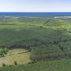 Photo #6 of Tract C Ten Acre Rd., Andrews, SC 6.5 acres