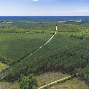 Photo #5 of Tract E Ten Acre Rd., Andrews, SC 16.3 acres