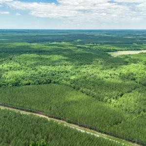 Photo #1 of Tract E Ten Acre Rd., Andrews, SC 16.3 acres