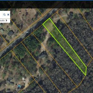 Photo #2 of TBD Highway 701 South, Conway, SC 1.7 acres