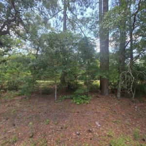 Photo #1 of TBD Highway 701 South, Conway, SC 1.7 acres