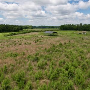 Photo #47 of Powell Rd., Green Sea, SC 69.0 acres