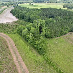 Photo #39 of Powell Rd., Green Sea, SC 69.0 acres