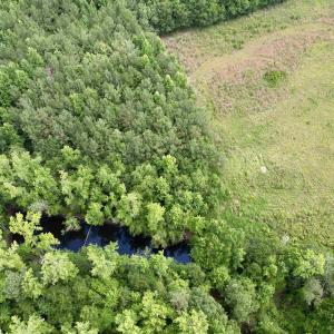Photo #41 of Powell Rd., Green Sea, SC 69.0 acres