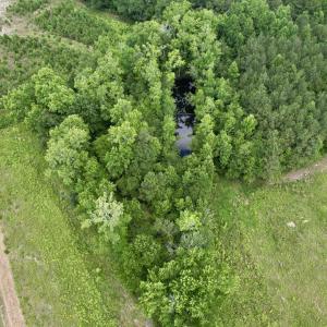 Photo #40 of Powell Rd., Green Sea, SC 69.0 acres