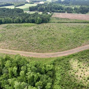 Photo #43 of Powell Rd., Green Sea, SC 69.0 acres
