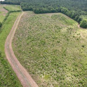 Photo #45 of Powell Rd., Green Sea, SC 69.0 acres