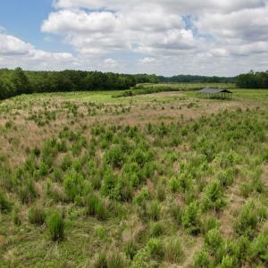 Photo #33 of Powell Rd., Green Sea, SC 69.0 acres