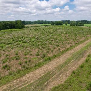 Photo #45 of Powell Rd., Green Sea, SC 69.0 acres
