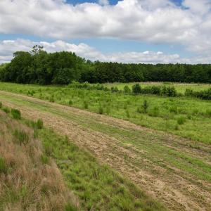 Photo #47 of Powell Rd., Green Sea, SC 69.0 acres