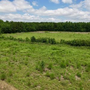 Photo #20 of Powell Rd., Green Sea, SC 69.0 acres