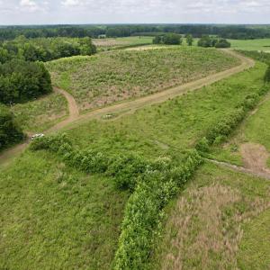 Photo #35 of Powell Rd., Green Sea, SC 69.0 acres