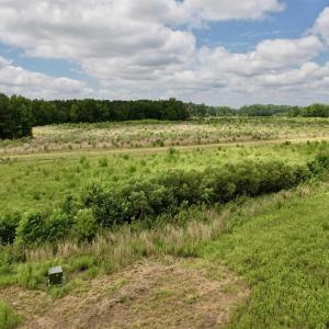 Photo #54 of Powell Rd., Green Sea, SC 69.0 acres