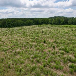 Photo #41 of Powell Rd., Green Sea, SC 69.0 acres