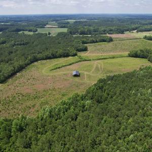 Photo #11 of Powell Rd., Green Sea, SC 69.0 acres
