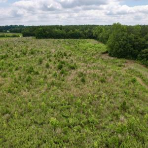 Photo #39 of Powell Rd., Green Sea, SC 69.0 acres