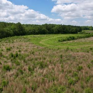 Photo #34 of Powell Rd., Green Sea, SC 69.0 acres