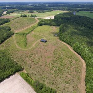 Photo #13 of Powell Rd., Green Sea, SC 69.0 acres