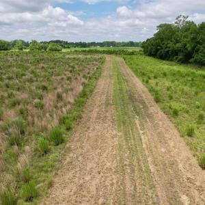 Photo #17 of Powell Rd., Green Sea, SC 69.0 acres