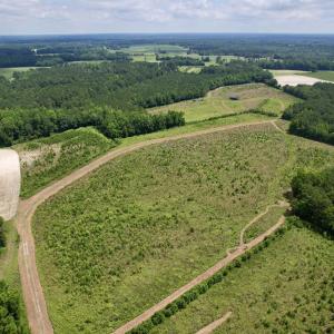 Photo #2 of Powell Rd., Green Sea, SC 69.0 acres