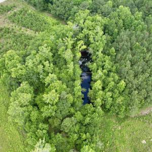 Photo #40 of Powell Rd., Green Sea, SC 69.0 acres