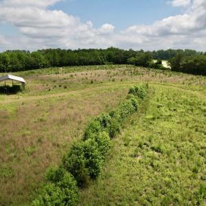 Photo #36 of Powell Rd., Green Sea, SC 69.0 acres