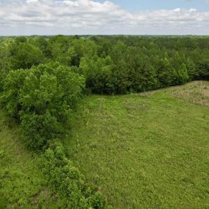 Photo #48 of Powell Rd., Green Sea, SC 69.0 acres